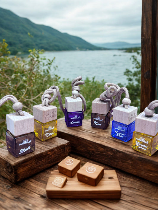 Best Car Air Fresheners in India 2026 Aura Tales