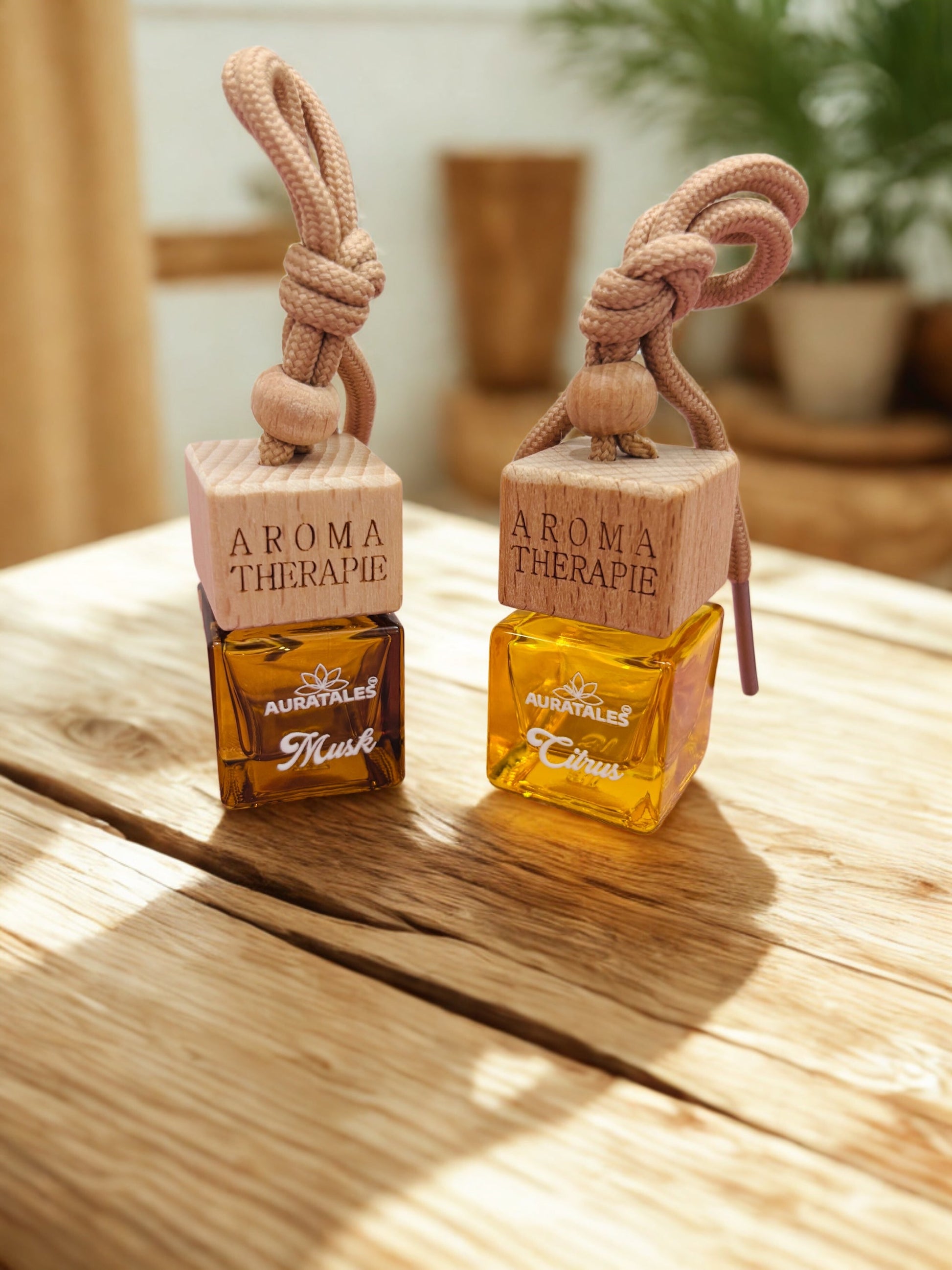 Car Hanging Perfume - Musk & Citrus |  Car Freshener Musk & Citrus - Combo Pack AuraTales