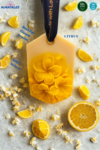 Citrus Air Fresheners – Bathroom & Shoe Rack |Pack of 2 Aura Tales