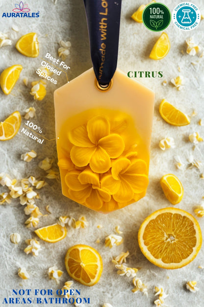 Citrus Air Fresheners  For Wardrobes Shoe Rackand closed Spaces